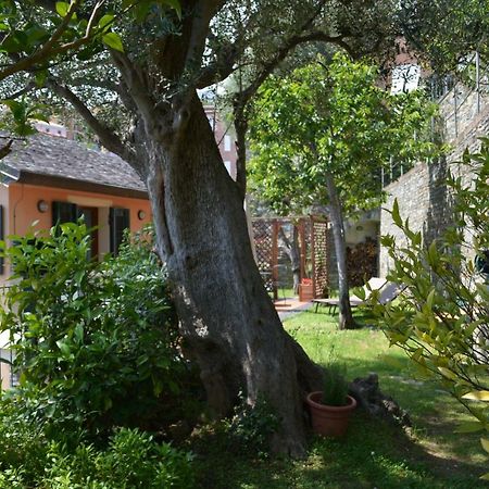 Ca Da Munta Bed And Breakfast Аренцано Екстер'єр фото