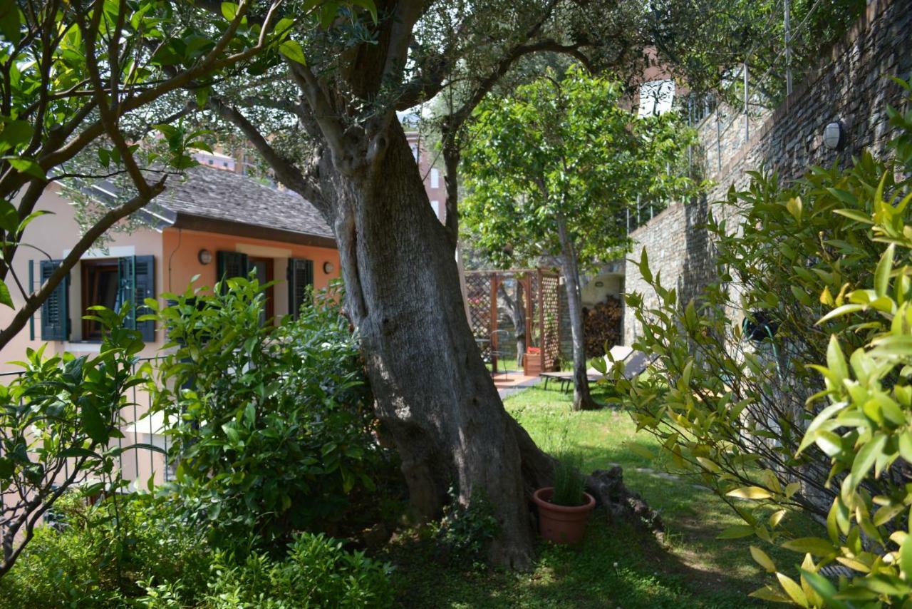 Ca Da Munta Bed And Breakfast Аренцано Екстер'єр фото